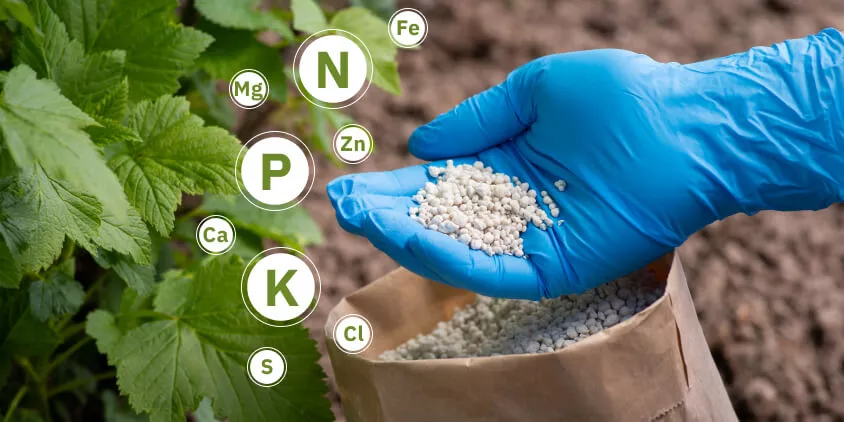 Fertilizantes