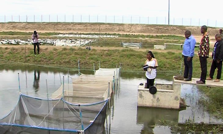 Aquacultura